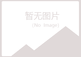 琼山匆匆能源有限公司